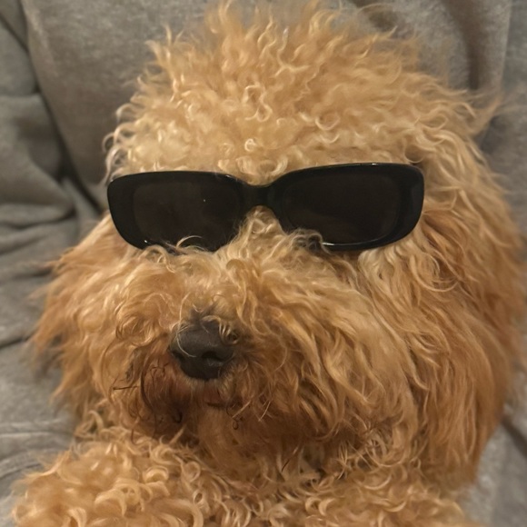 Meet your Posher, Emma - Picture 1 of 1